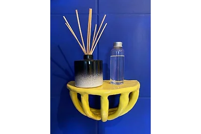 Casa Color