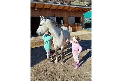 Appartement   Rossalm für 4-9 Pers.