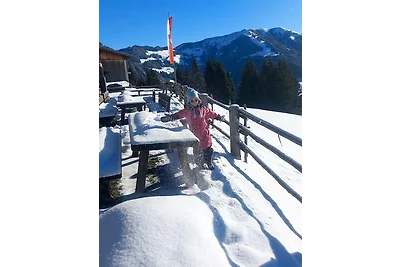 Ferienhaus Alpenherz