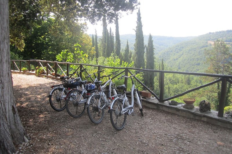 Biciclette, ruote e paesaggio naturale in una foto.