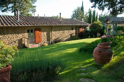 Mezzacosta - Anghiari - Arezzo