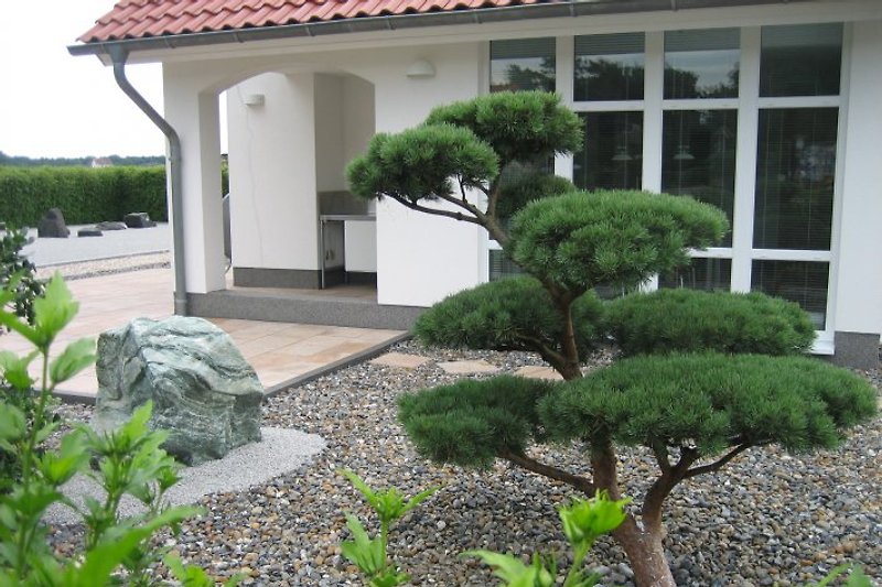 Terrasse mit Bonsai