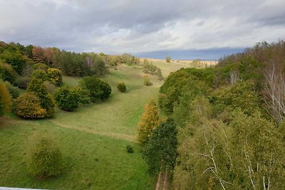 Ferienhäuser Forsthaus Langenthal