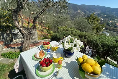 Lemon Garden - Cinque Terre