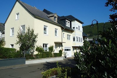 Ferienhaus Birgit Trittenheim