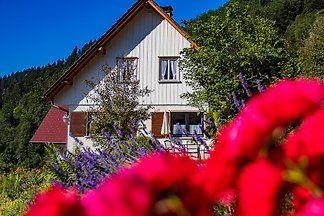 Ferienhaus Oppenau