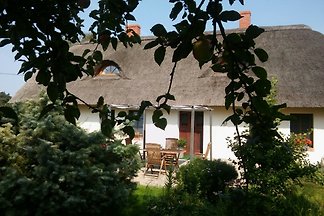: Vakantieaccommodatie