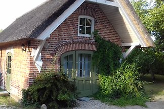 Apartament Manor house near the Baltic Sea