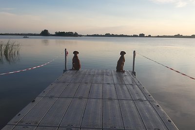 Natura - mit Hund