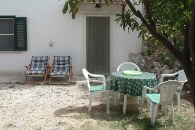 I gechi del Gargano