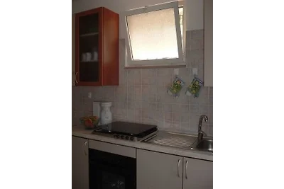 I gechi del Gargano