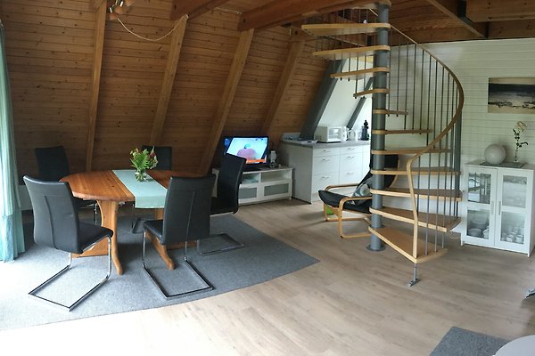 Ferienhaus Damp