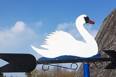 Casa di vacanza vicino alla spiaggia SCHWAN