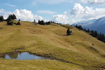 Panorama Chalet Montafon
