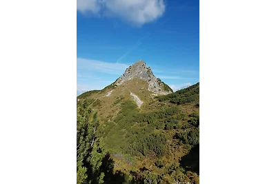 Panorama Chalet Montafon