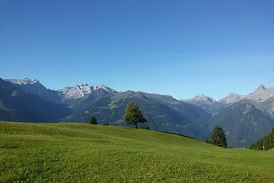 Panorama Chalet Montafon