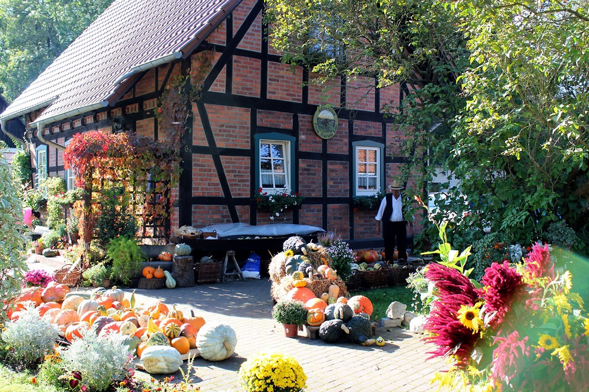 Ferienwohnung L  rche L  bben Firma Spreewald Unterk  nfte  Herr