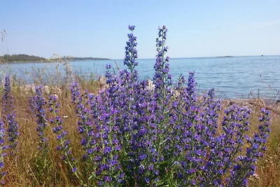 Ferien am Meer