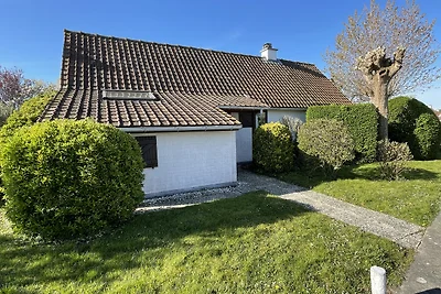 Duinhoek (Dünenecke)