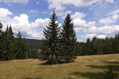 Berghäusle