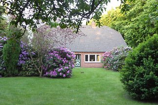 Ferienhaus Grashof