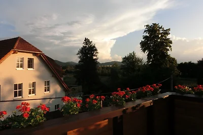 Ferienwohnung am Olbersdorf See