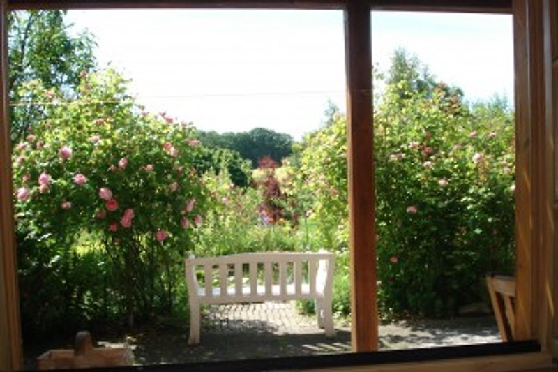 Vista dal letto sul giardino