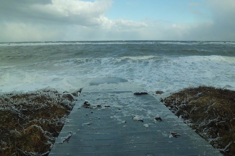 Tempesta e freddo sulla spiaggia di Hasselberger
