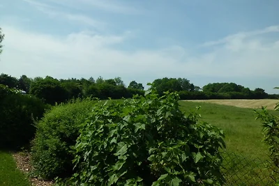 Boysen, Hasselberg/Eckeberg