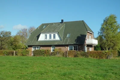 Boysen, Hasselberg/Eckeberg