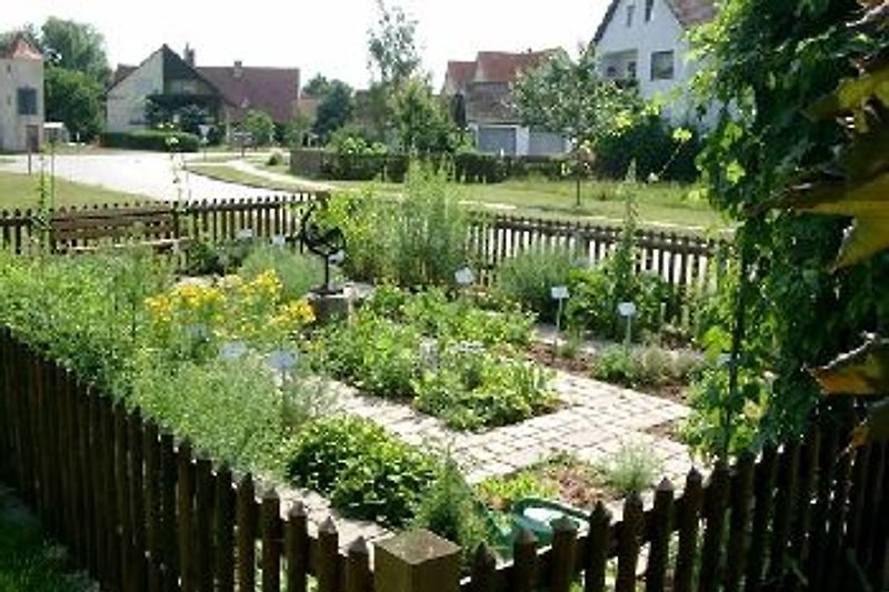 Ogród ziołowy