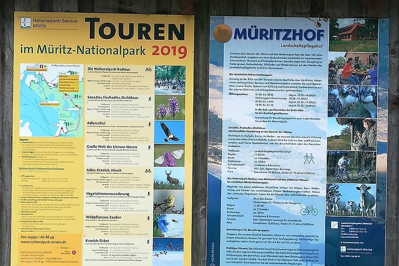 Radtour durch den Müritz -Nationalpark