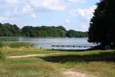 Casa vacanze sul lago vicino a Müritz