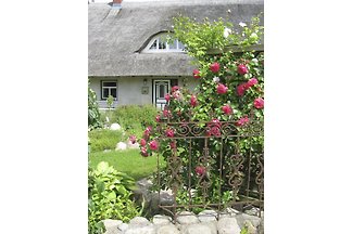 Fewo´s im Reetdachhaus