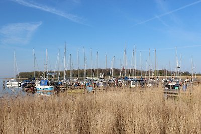 Vakantiehuis Ontspannende vakantie Boiensdorf