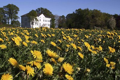 Vakantieappartement Gezinsvakantie Rerik