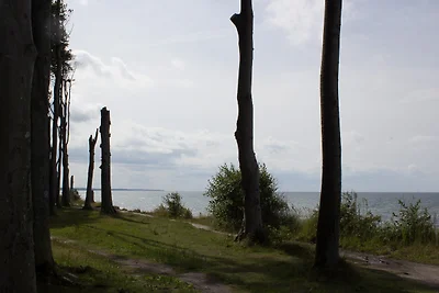 Apartamento Vacaciones familiares Nienhagen