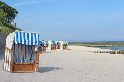 Appartamento Vacanza con famiglia Nienhagen