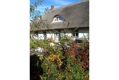 Zum Reetdachhaus am Haff " Haffblick"