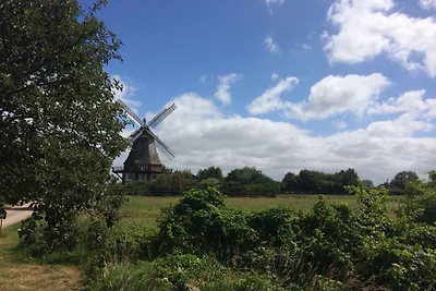 Appartement Vacances avec la famille Börgerende