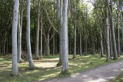 Appartement Vacances avec la famille Nienhagen