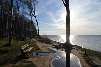 Ostsee Idyll Bungalow Möwe