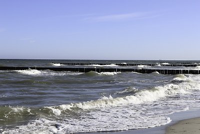 Vakantieappartement Gezinsvakantie Nienhagen