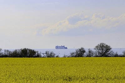 Vakantieappartement Gezinsvakantie Nienhagen