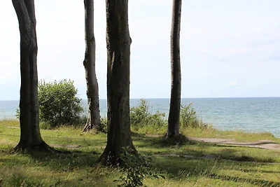 Appartamento Vacanza con famiglia Nienhagen