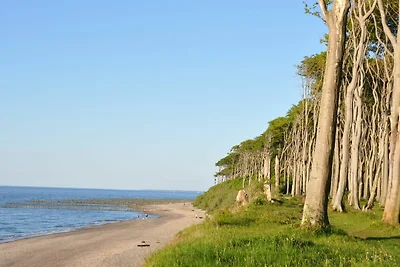 Fewo Dorothee 5 - Relex