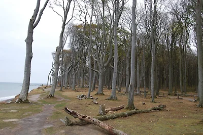 Fewo Maisonettwohnung Bergemann