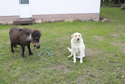 Landliebe