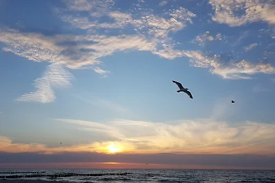 Alizé 4 mit Meerblick