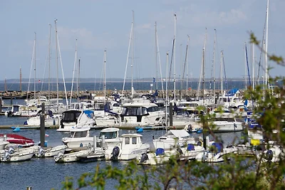 Ferienhaus Stine Ferienwohnung Villa